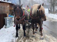 Kulig w Mostach koło Jabłonkowa
